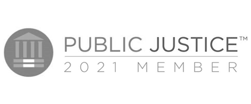 Public justice
